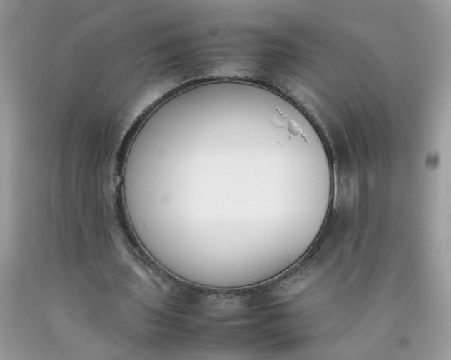 X0000090410435200707272052