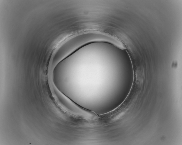X0000090410436200707272052