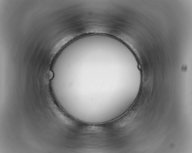 X0000090410437200707272052