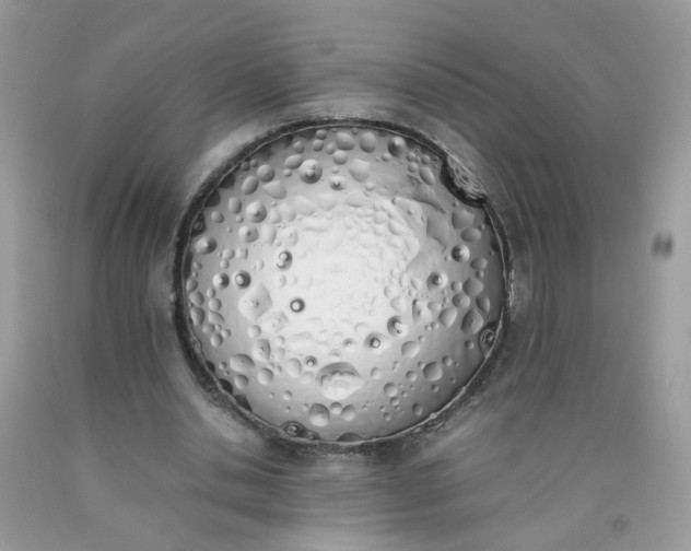 X0000090410438200707272052