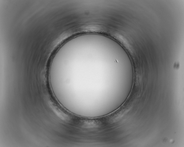 X0000090410439200707272052