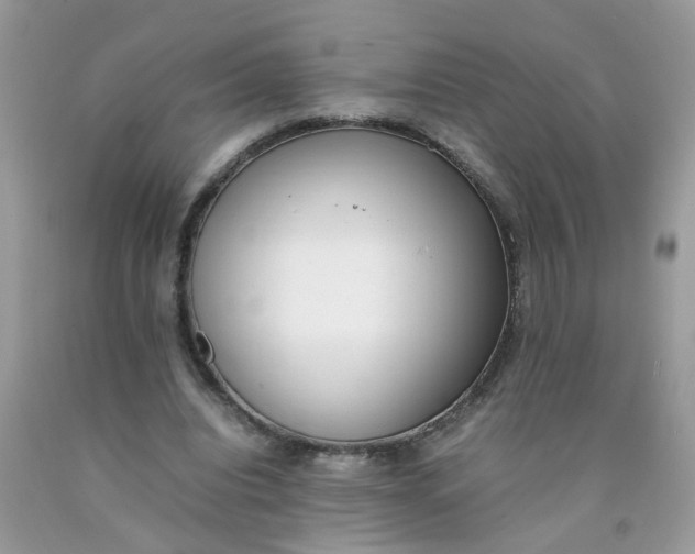 X0000090410440200707272052
