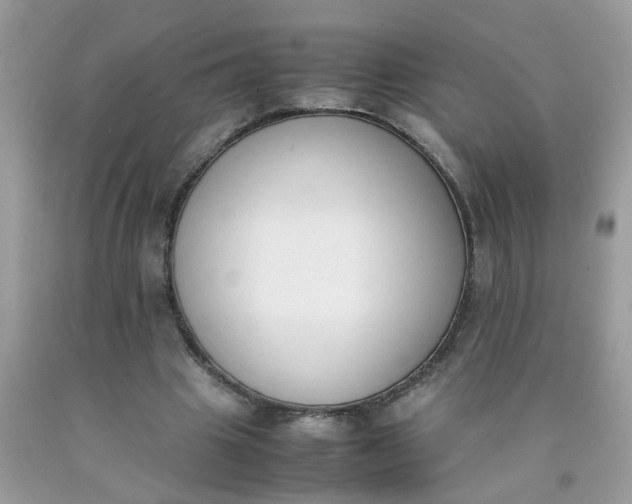 X0000090410441200707272052