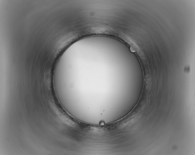 X0000090410442200707272052