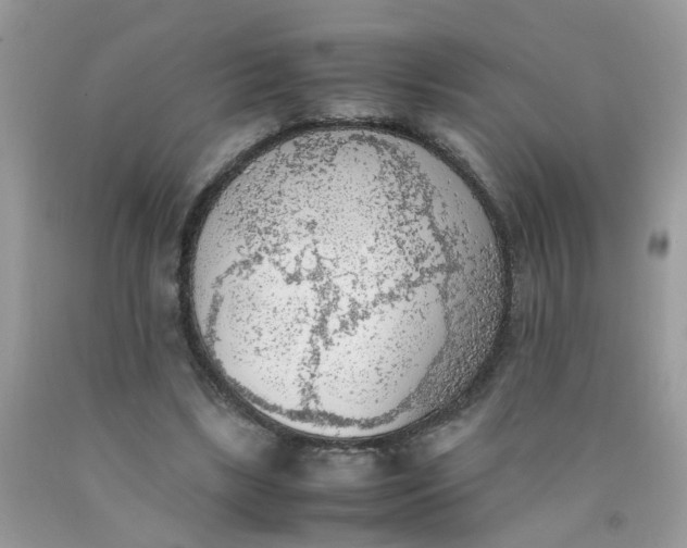 X0000090410443200707272053
