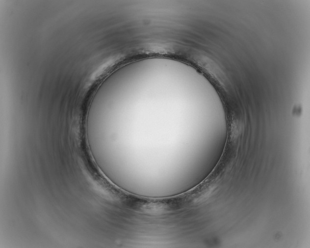 X0000090410444200707272053