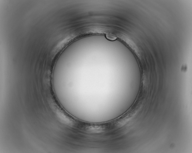 X0000090410445200707272053