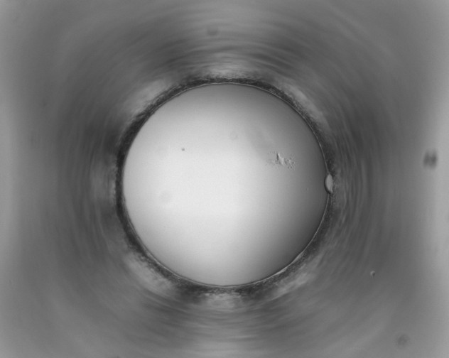 X0000090410446200707272053