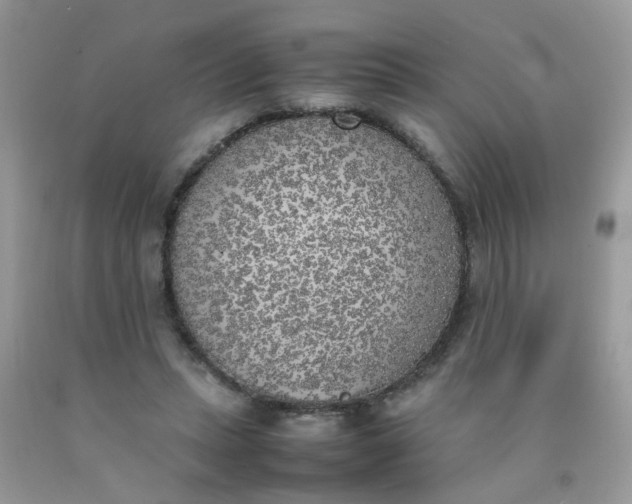 X0000090410447200707272053