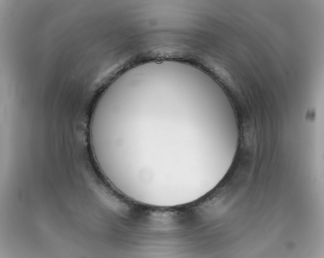 X0000090410450200707272053