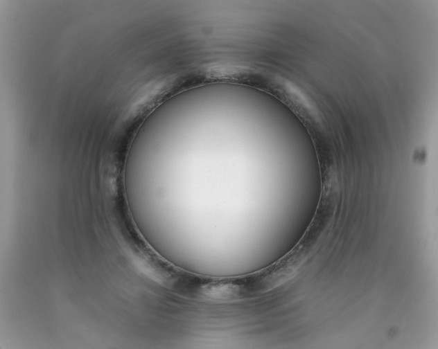 X0000090410452200707272053