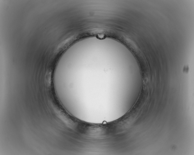 X0000090410454200707272053