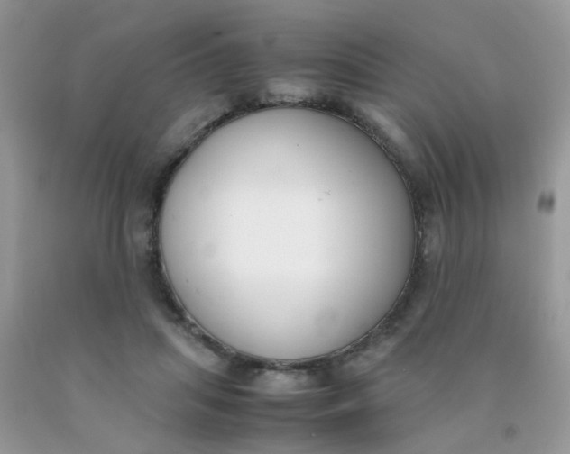 X0000090410455200707272053