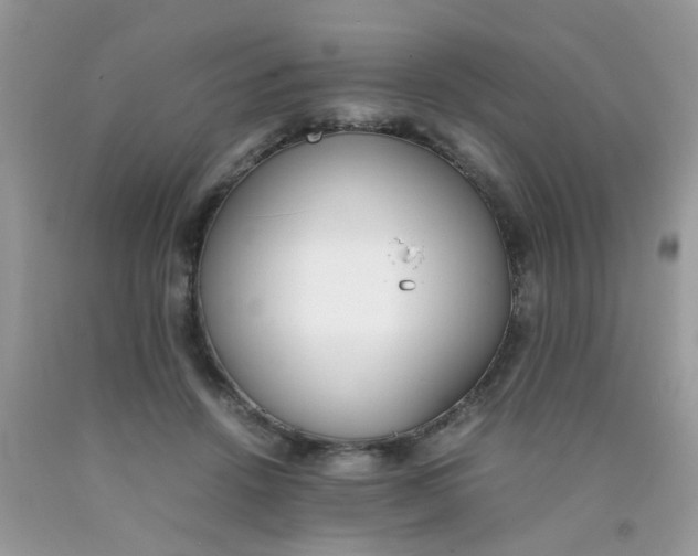 X0000090410456200707272053