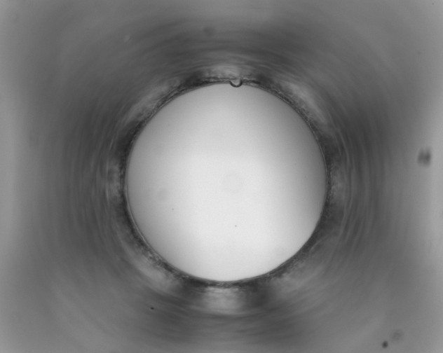 X0000090410457200707272053