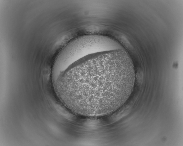 X0000090410458200707272053
