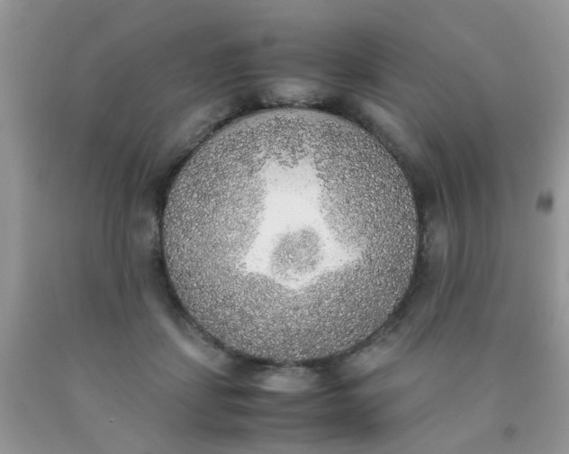 X0000090410459200707272053