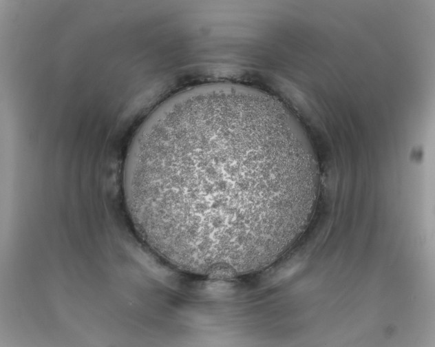 X0000090410462200707272053