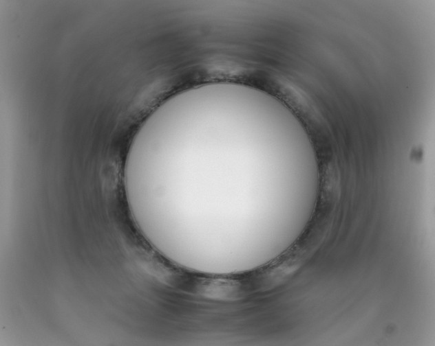 X0000090410463200707272053