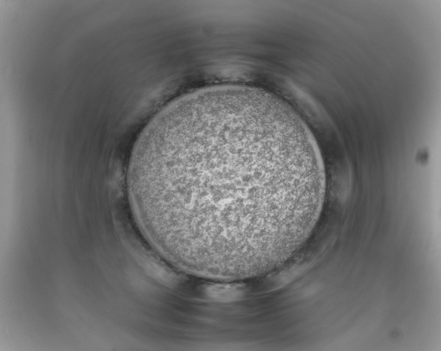 X0000090410465200707272053