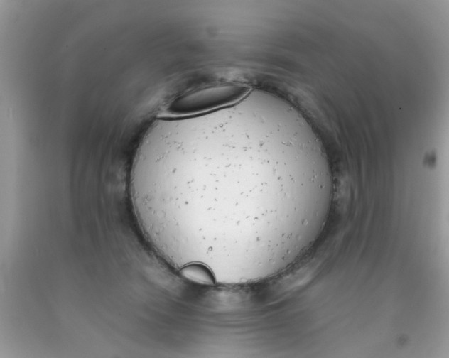 X0000090410466200707272053