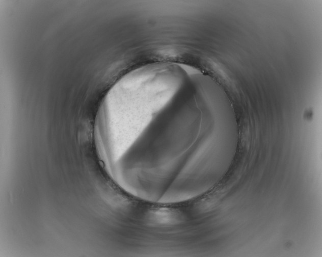 X0000090410467200707272053