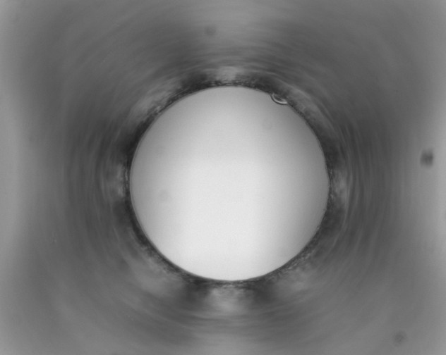X0000090410470200707272053