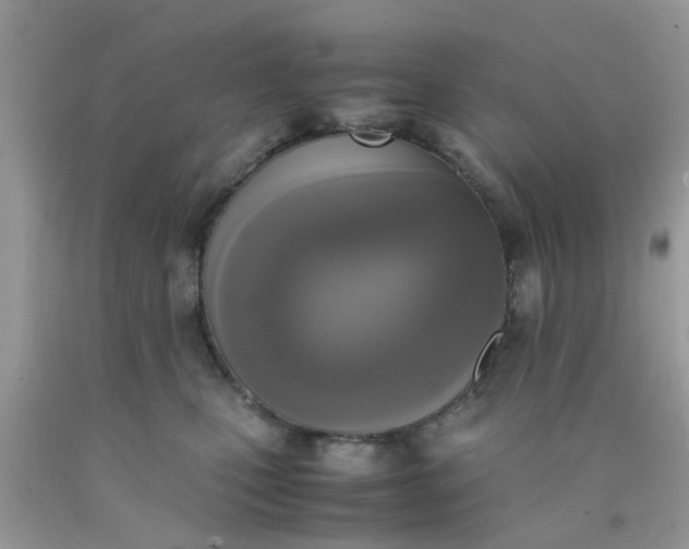 X0000090410471200707272053
