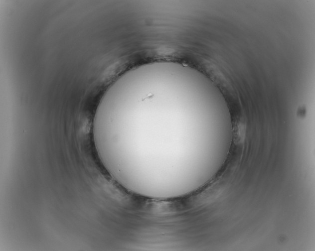 X0000090410472200707272053