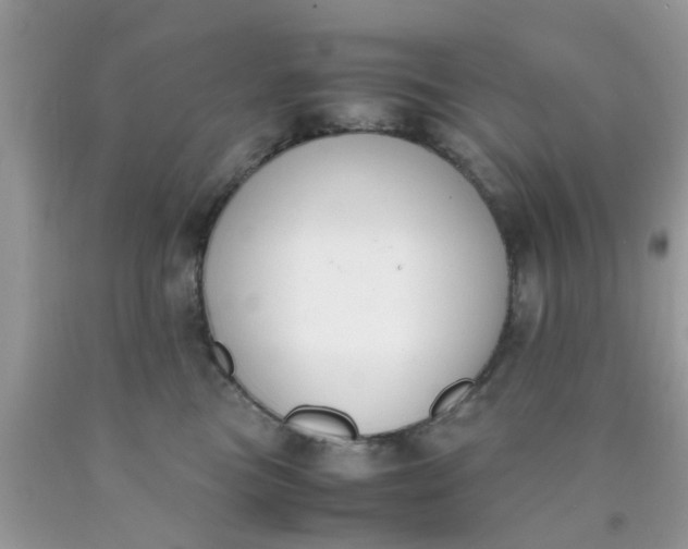 X0000090410473200707272053