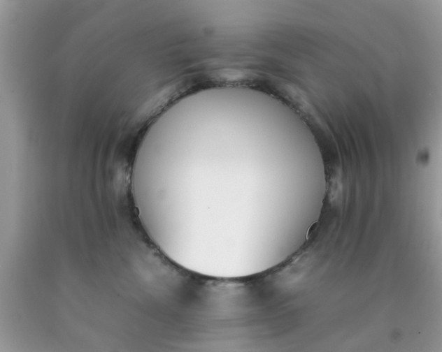 X0000090410476200707272053