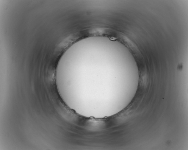 X0000090410477200707272053