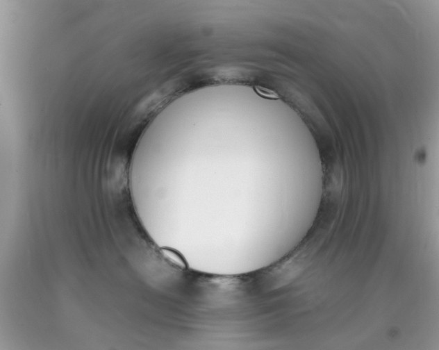 X0000090410478200707272053