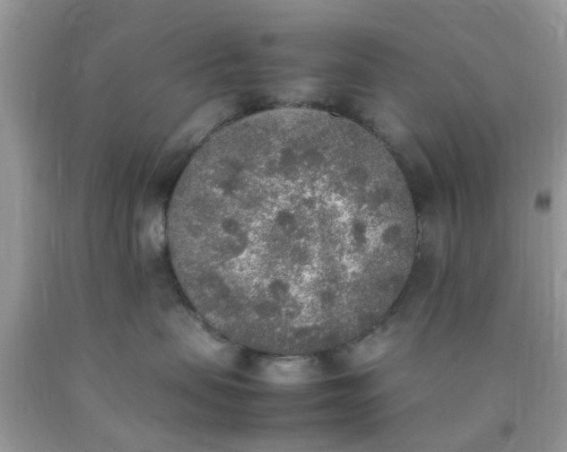 X0000090410479200707272053