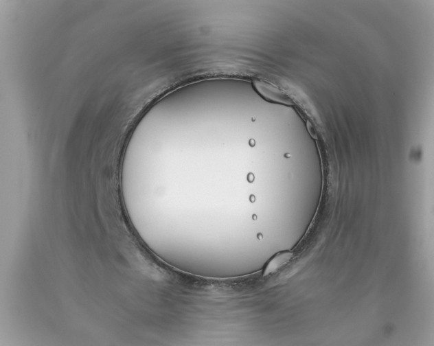 X0000090410481200707272052