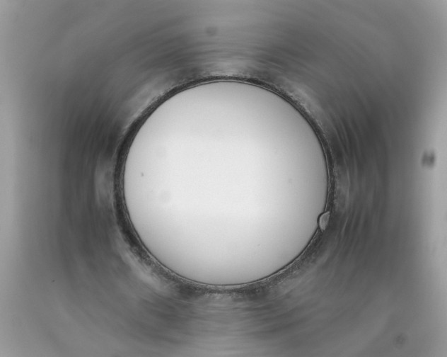X0000090410482200707272052
