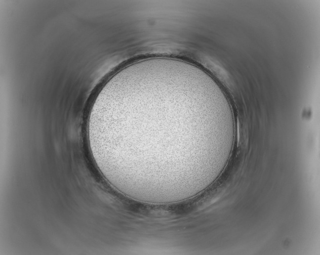 X0000090410483200707272052