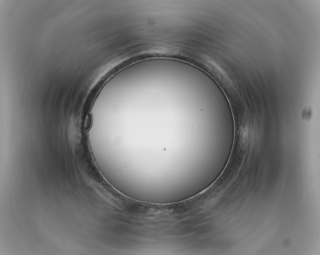 X0000090410484200707272052