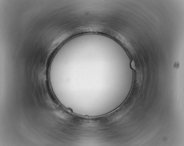 X0000090410486200707272052