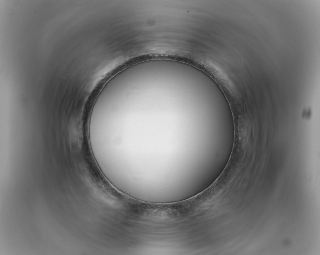 X0000090410488200707272052