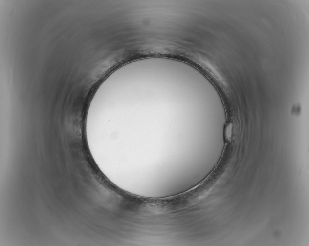 X0000090410489200707272052
