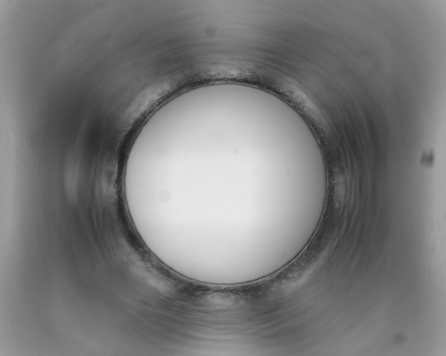 X0000090410490200707272052