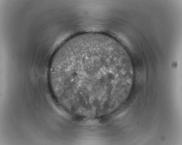 X0000090410491200707272052