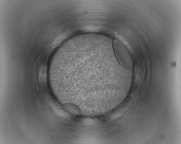 X0000090410494200707272052