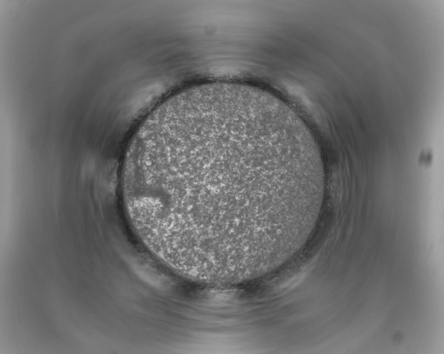 X0000090410495200707272052