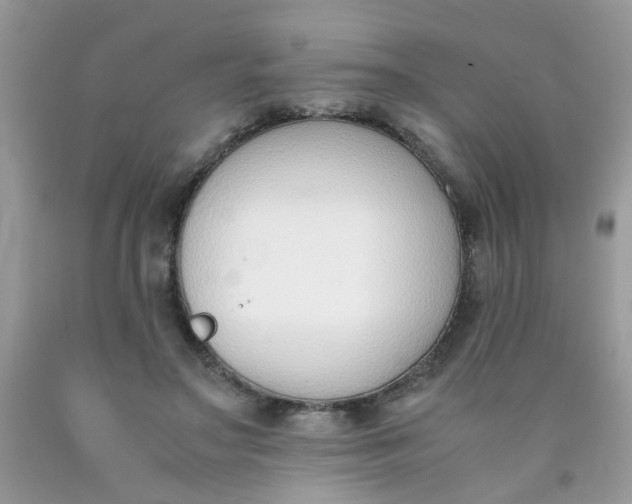 X0000090410499200707272052
