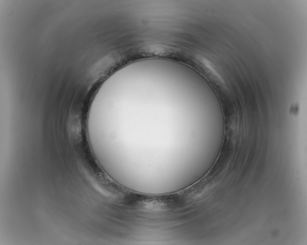 X0000090410500200707272052