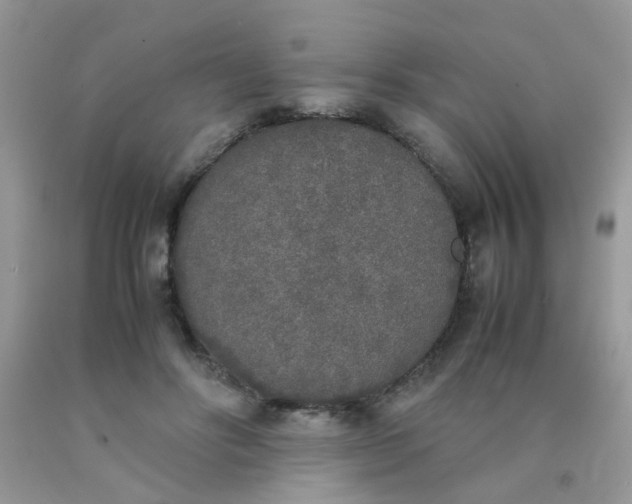 X0000090410502200707272052