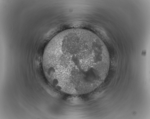 X0000090410503200707272052