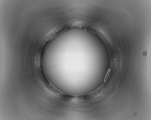 X0000090410504200707272052
